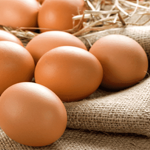 Доставка куриных яиц