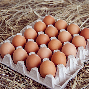 Яйца куриные диетические