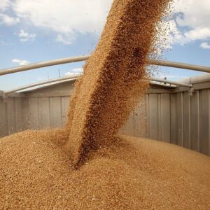 Хранение и складирование зерновых культур