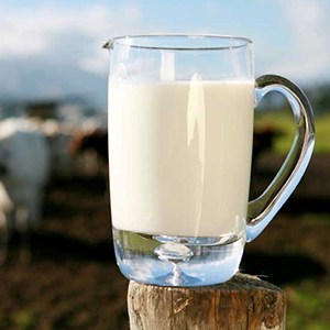 Оптовая торговля молока