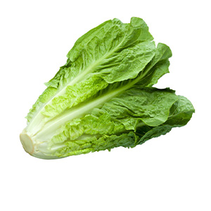 Салат Ромэн