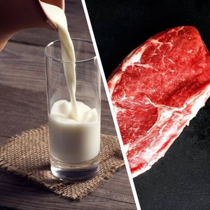 Производство молока и мяса