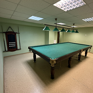 Игра в бильярд