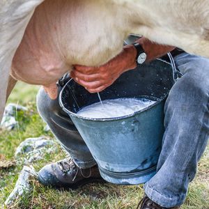 Релизация сельхозпродукции