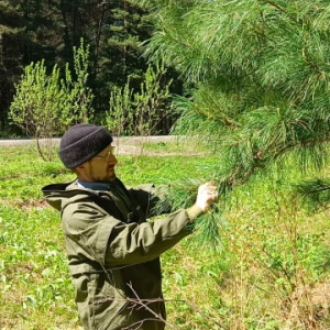 Курсы лесника