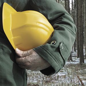 Обучение руководителей лесозаготовка