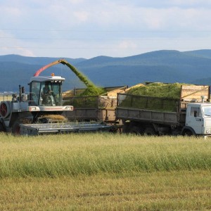 Производство кормов