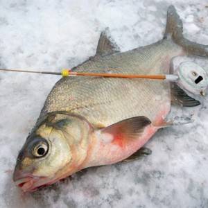 Рыбалка на прудах зимой