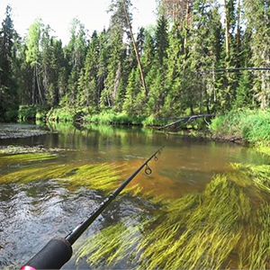 Рыбалка на реке