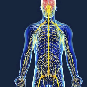 Заболевания нервной системы