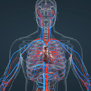 Заболевания системы кровообращения
