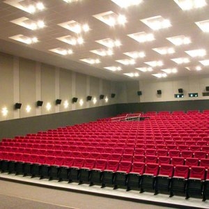 Концертный зал на 250 мест