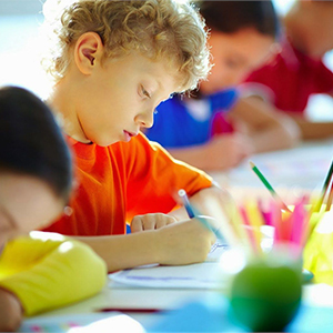 Индивидуальная программа обучения