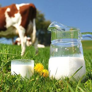 Реализация молока от производителя