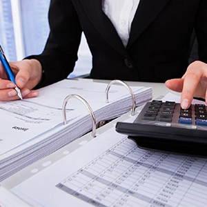 Услуги бухгалтерского налогового учета