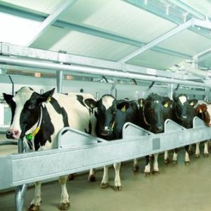Обслуживание молочных ферм