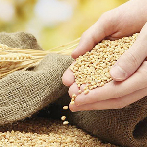 Релизация сельхозпродукции