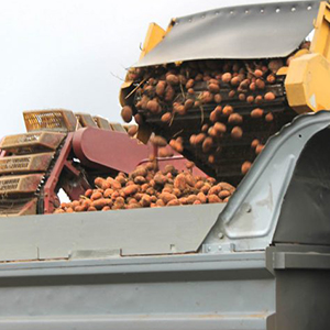 Заготовка сельскохозяйственной продукции и сырья