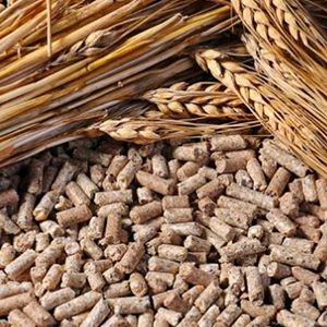 Корма для с/х животных