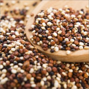 Псевдозлаки