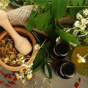 Фитотерапия