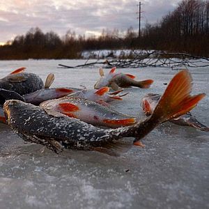 Рыбалка на пруду зимой