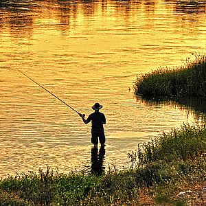 Рыбалка на пруду летом