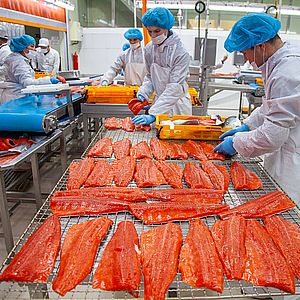 Производство рыбной продукции