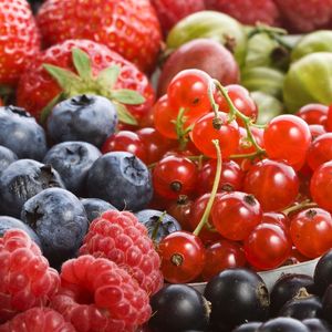 Выращивание плодов и ягод