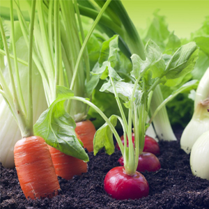 Выращивание экологически чистых овощей