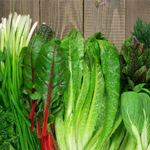 Производитель салатной зелени