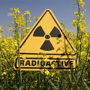 Загрязнение растений радионуклидами