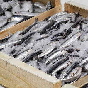 Производство рыбной продукции