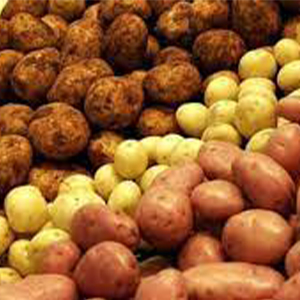 Картофельная продукцтя