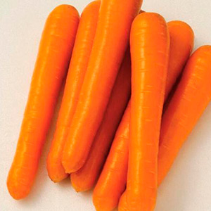 Морковь Маэстро