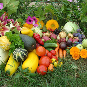 Биогрунты питательные Универсальный, Рассадный, Цветочный, Для томатов