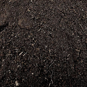 Купить торф низинный