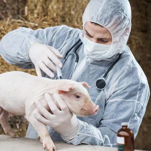 Ветеринарная терапия