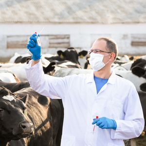 Ветпрепараты