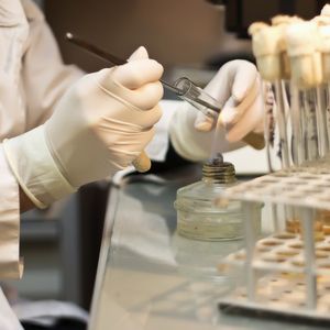 Ветеринарные анализы