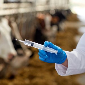 Вакцинация от бешенства