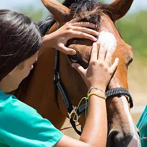 Диагностика кожных заболеваний и другие исследования