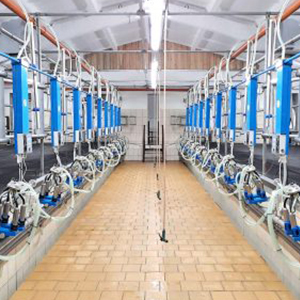 Обслуживание доильных залов и молокопроводов