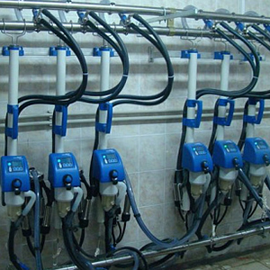 Доильное оборудование