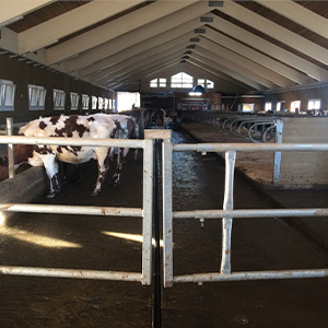 Продажа оборудования для молочных ферм