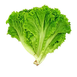 Листья салата