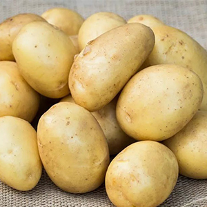 Сортовой картофель