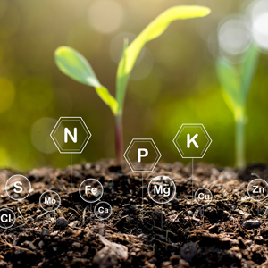 Микроэлементы