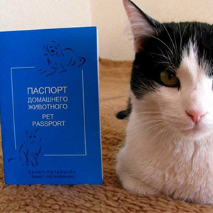 Выдача ветеринарных паспортов
