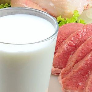 Производство мясо-молочной продукции